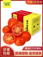 绿行者 红又红番茄5斤