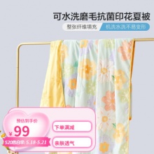 百丽丝 A类抑菌空调被