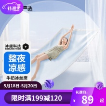 网易严选 冰丝席2件套