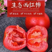 普罗旺斯西红柿5斤大果