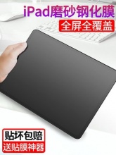 ipad mini防蓝光磨砂钢化膜+赠
