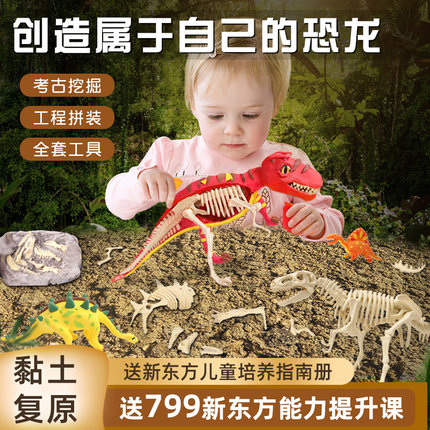 伊美娃娃恐龙化石挖掘玩具+赠