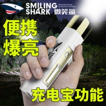 微笑鲨 手电筒 500K带侧灯