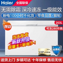 Haier/海尔免除霜两用小型冰柜203L