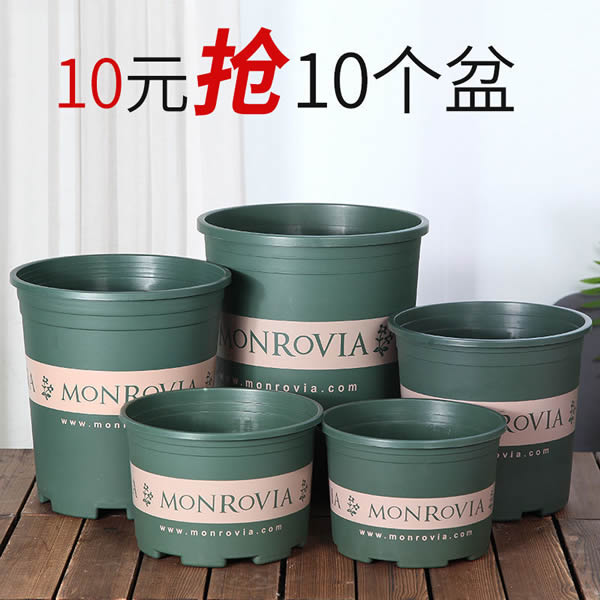 加仑盆 加厚树脂塑料花盆10个