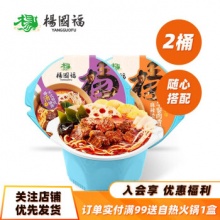 杨国福  自热麻辣烫 双盒装