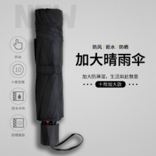 红叶  10骨晴雨伞