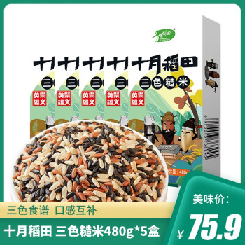 十月稻田 三色糙米480g*5盒 