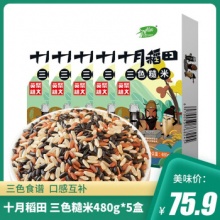 十月稻田 三色糙米480g*5盒 