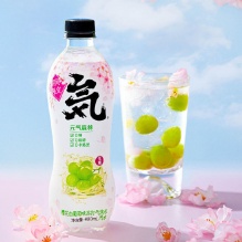 元气森林 气泡水480ml*15瓶