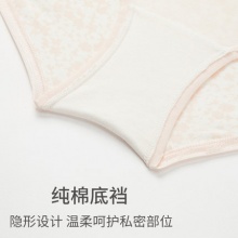 舒雅 女中腰平角内裤