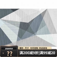 布迪斯 地毯茶几毯140*200cm