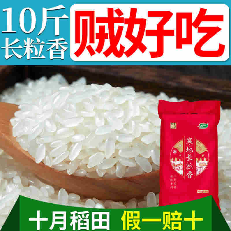 十月稻田.长粒香大米10斤