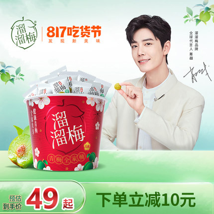 溜溜梅 喜上梅梢无核桶600g 