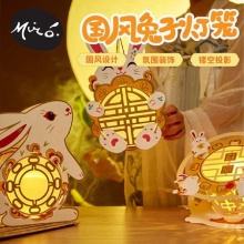 华仔  国风兔子灯笼制作材料 2个