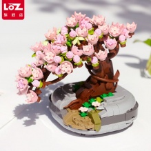 俐智Loz  樱花/多肉盆栽