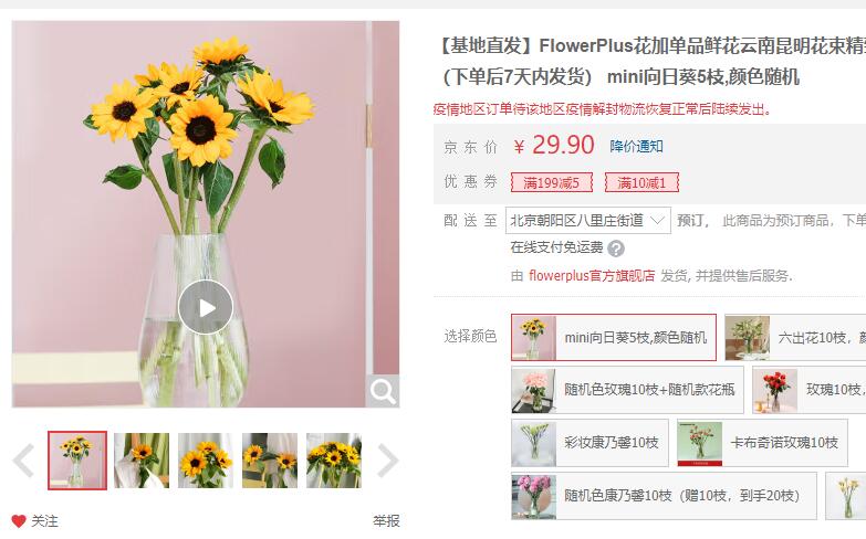 【9.9】花加 向日葵5枝 颜色随机