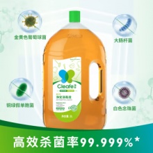 净安 季铵盐消毒液 2L