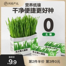 网易严选懒人猫草盆栽*3包
