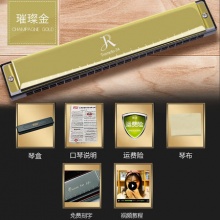 嘉德瑞入门口琴24孔+赠
