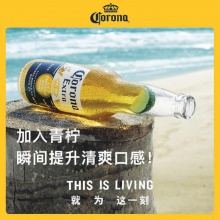 罗娜墨西哥风味啤酒