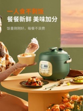 九阳 迷你电高压锅 2L