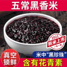 十月稻田 五常黑米5斤