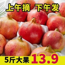 突尼斯软籽石榴5斤单果250g起