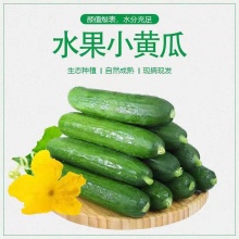 水果小黄瓜5斤