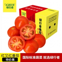 绿行者 红又红番茄5斤