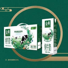SATINE 金典 纯牛奶 250ml*12盒*2箱