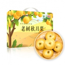 青青大地 老树秋月梨净重6斤 6-8粒梨子