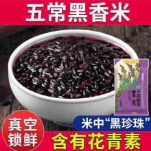 十月稻田 五常黑米5斤