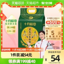 十月稻田  贡米长粒王5kg
