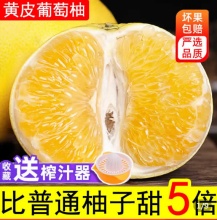 台湾黄金葡萄柚5斤