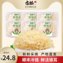 古松 福建古田鲜银耳6朵盒装共700g