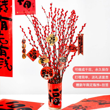 花点时间 兔好运银芽柳30枝