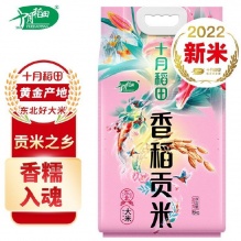 十月稻田 香稻贡米5kg