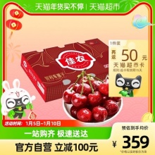 佳农 智利车厘子 JJ级 5kg装