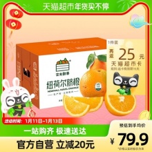 农夫山泉 农夫鲜果纽荷尔脐橙5kg