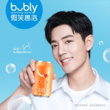 bubly微笑趣泡  白桃味气泡水汽水450ml*12瓶