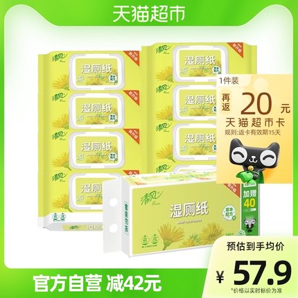 清风  湿厕纸40片8包