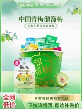 溜溜梅 六味青梅全家桶480g