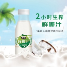 椰谷 2小时椰汁245g*10瓶
