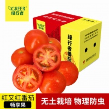 绿行者红又红番茄畅享果5斤