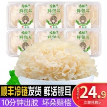 古松 福建新鲜银耳6朵700g