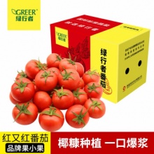 绿行者 红又红番茄小果5斤 