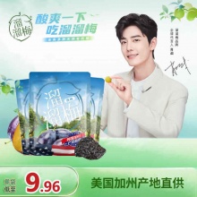 溜溜梅 西梅果脯梅干120g*2袋