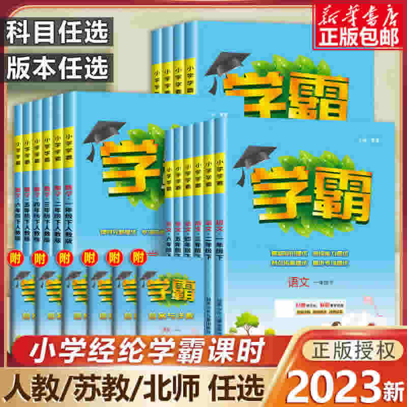 2023新版 经纶小学学霸