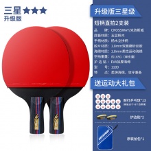 克洛斯威 乒乓球拍 2支+13个球+2个护边贴+原装拍包